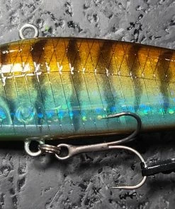 Obass Live Lipless Mola Mola Doryuu Silent