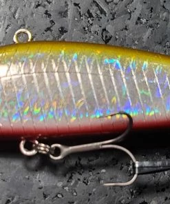 Obass Live Lipless Mola Mola Doryuu Silent