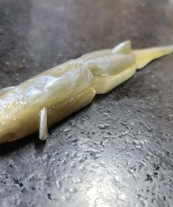 YG.Iabo Creatures Witch Lana