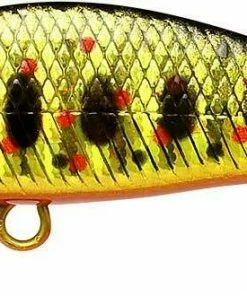 Lucky Craft Jerkbaits Pointer 50