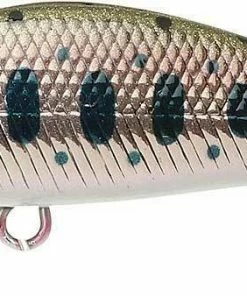 Lucky Craft Jerkbaits Pointer 50