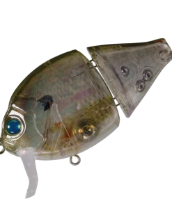 Valley Hill Boogie Back Hard Body