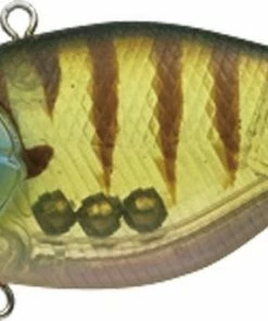 Evergreen International Lipless Buzzer Beater TG