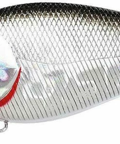 Lucky Craft Shallow Diving (0-7ft.) Fat CB BDS 6