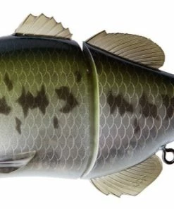 Jackall Gantarel Jr.