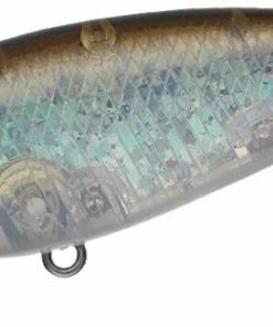 Evergreen International Belcanto Shallow Diving (0-7ft.)