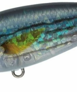 Evergreen International Belcanto Shallow Diving (0-7ft.)