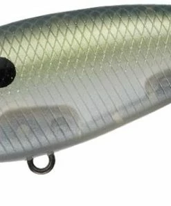 Evergreen International Belcanto Shallow Diving (0-7ft.)