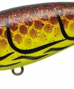 Evergreen International Belcanto Shallow Diving (0-7ft.)