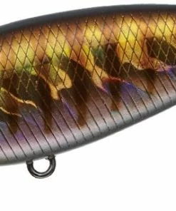 Evergreen International Belcanto Shallow Diving (0-7ft.)