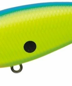 Evergreen International Belcanto Shallow Diving (0-7ft.)