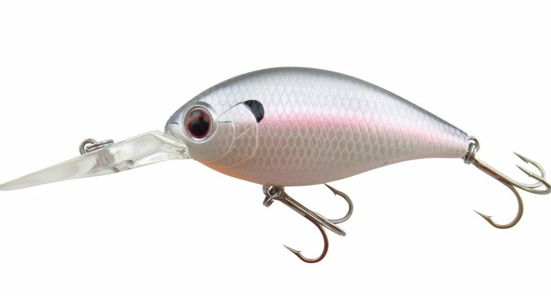 Evergreen USA CR-8 Crankbaits Medium Diving (8-14ft.)