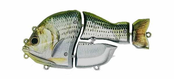 Manifold Castellanon Hard Body