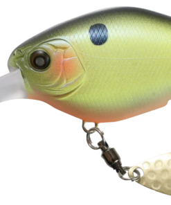 Nishine Lure Works Chippawa DD Blade Medium Diving (8-14ft.)