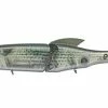 Evergreen International Hard Body ES Drive Glidebait