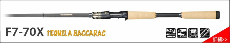 Megabass Destroyer P5 Casting Rods