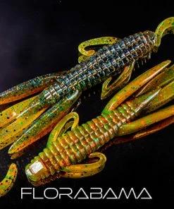 Reaction Innovations Creatures Man Bear Pig