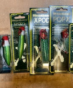 Evergreen USA CR-8 Crankbaits Medium Diving (8-14ft.)