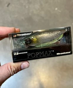 Smith LTD. Still Area Tuned