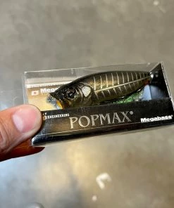 Duo Realis Tetra Works Toto 42S