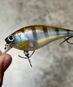Lucky Craft Shallow Diving (0-7ft.) Fat CB BDS Magic 2.2