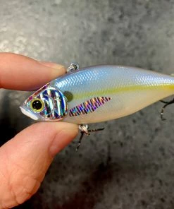 Lucky Craft Lipless LV500 FT