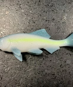 JSJ Bait Co. Hitch Six Recoil Weedless Swimbait