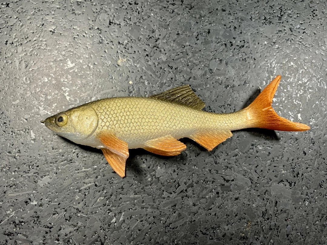 JSJ Bait Co. Hitch Six Recoil Weedless Swimbait