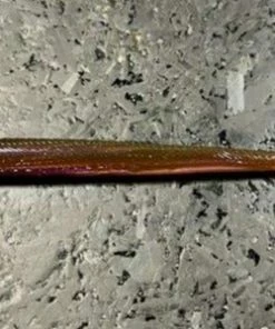 Roboworm Straight Tail Worm 6 Inch Dropshot Baits