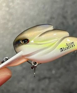 +Rooms Alcatraz Shallow Diving (0-7ft.)