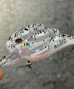 +Rooms Alcatraz Shallow Diving (0-7ft.)