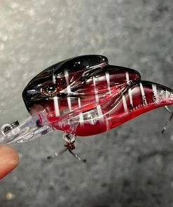 +Rooms Alcatraz Shallow Diving (0-7ft.)