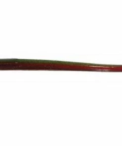 Roboworm Straight Tail Worm 6 Inch Dropshot Baits