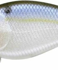 Lucky Craft KJ Flat Crankbait