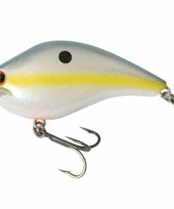 Ichikawa Fishing RC King Kong Shad