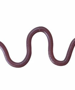 OSP Dropshot Baits MMZ