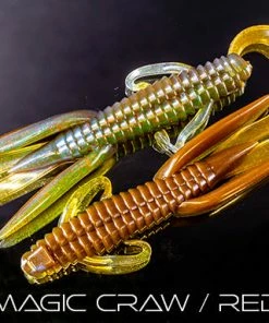 Reaction Innovations Creatures Man Bear Pig