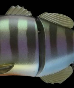 Jackall Gantarel Jr.