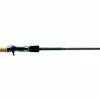 Valley Hill Raison Odessa Casting Rods