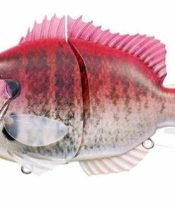 Evergreen International Hard Body Bream Slide