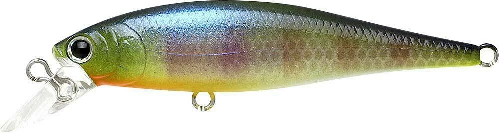 Lucky Craft Jerkbaits Pointer 65SP