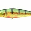 Lucky Craft Jerkbaits Pointer 65SP