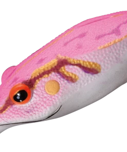 Smith LTD. Potofu Frog