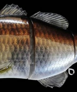 Jackall Gantarel Jr.