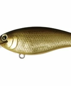 Bottom Up Reazzy Shallow Diving (0-7ft.)