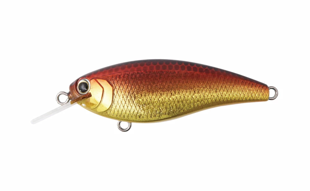 Bottom Up Reazzy Shallow Diving (0-7ft.)