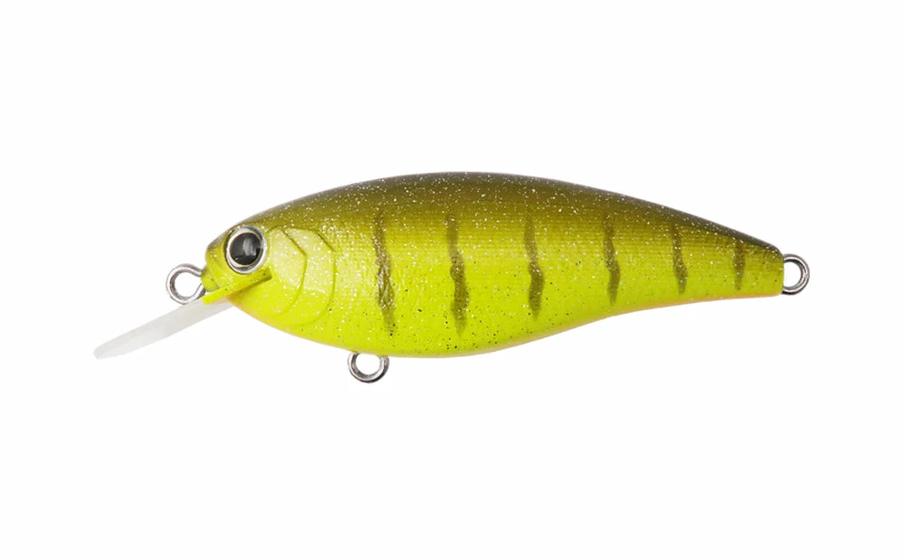 Bottom Up Reazzy Shallow Diving (0-7ft.)