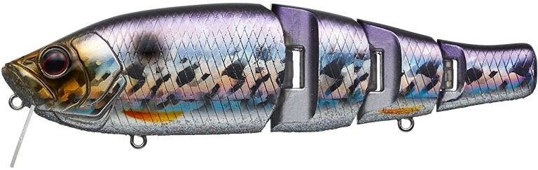 Evergreen International Royal Flash Jr.