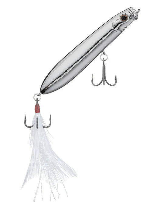 Evergreen USA SB 77.7 Walking