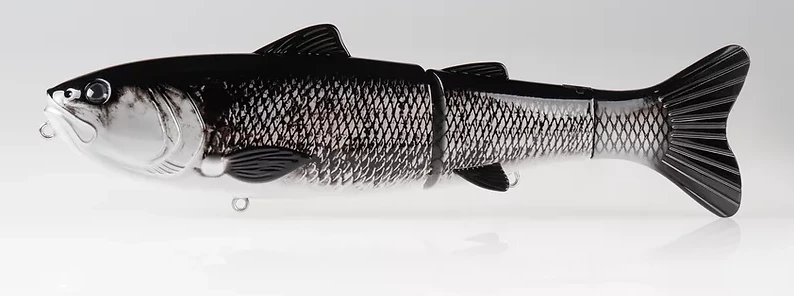 Baitsanity Explorer Gen 2 Glide Hard Body